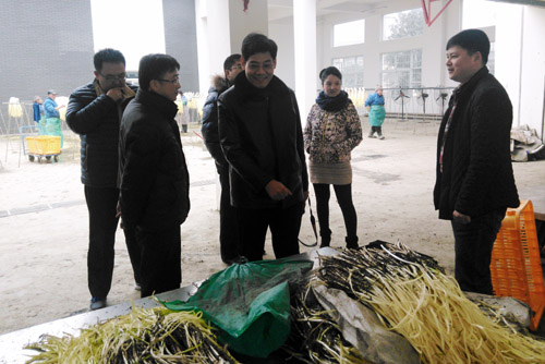 1426169161095089765.jpg 20151211073372.jpg