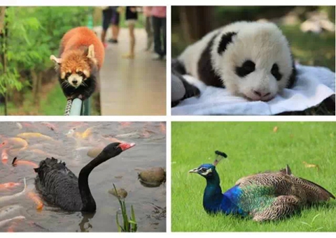 1426778691189013889.jpg 640.webp (12).jpg