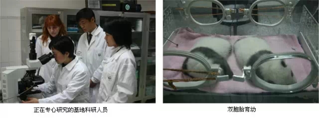 1426778718908022967.jpg 640.webp (13).jpg