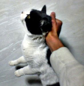 1427041963986011280.jpg 40lF-cczmvun7015655.jpg