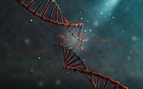 1427042788095057810.jpg dc5134be0d9d416.jpg