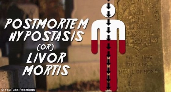 1427622451757067795.jpg 201412723723467.jpg