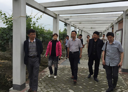 1430913631243093532.jpg 201556145027548.jpg