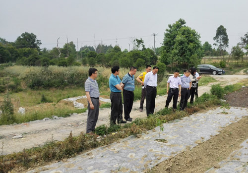 1430990107665002915.jpg C:Documents and SettingsAdministrator\u684c面5571432443.jpg