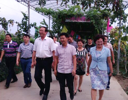 1437625437687063785.jpg 2015722171024400.jpg