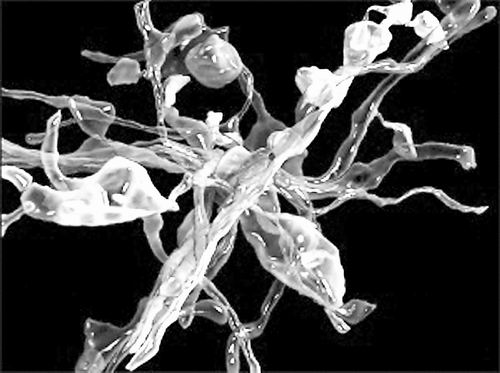 1438655661425056336.jpg W020150803423736472579.jpg