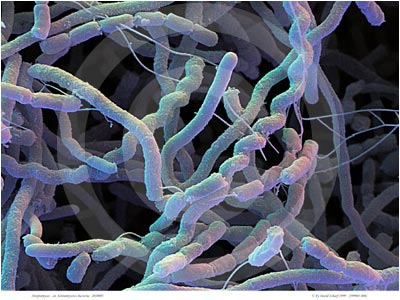 1438655875702009710.jpg W020150803371715292749.jpg