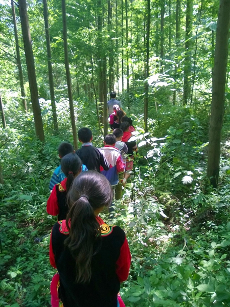 1438765574812091337.jpg 野外环境观察活动——大自然寻宝(走进自然界的寻宝地).jpg