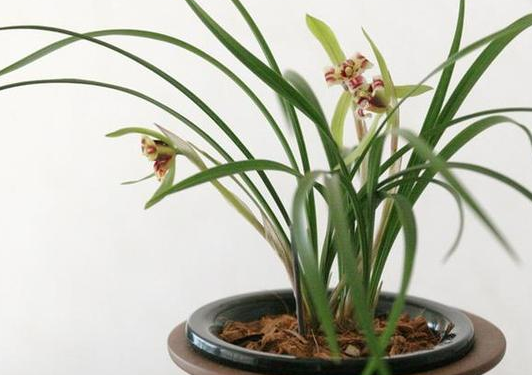 1442462561500056055.png $%XYB$K1}5DIH_C)7LR4MO8.png