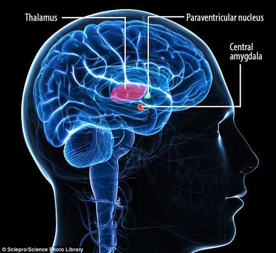 1446089694328000777.jpg hyyc-fxkhcfn4162269.jpg