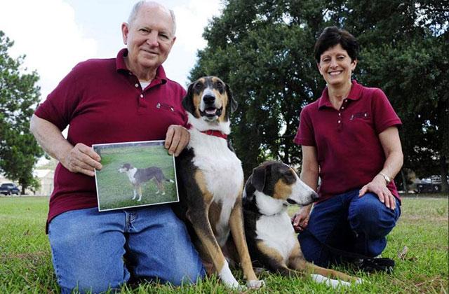 1448416634156039253.jpg 128222035.jpg