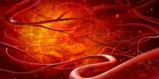 1449450445234035389.jpg PNPP-fxmifze7600246.jpg