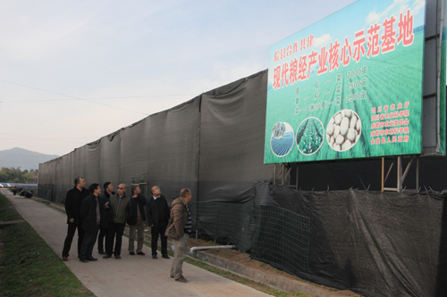 1450401427701018777.jpg 20151217143335364 (1).jpg