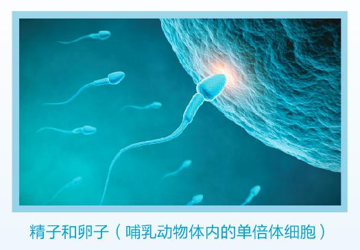 1453250982687044377.jpg BvLZ-fxnrahr8567901.jpg