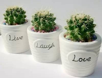 1453688481796021399.jpg y1sC-fxnvhvu7036761.jpg