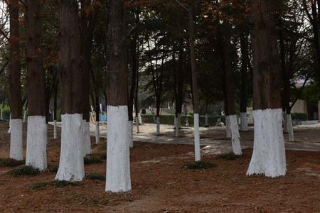 1454032448484098193.jpg a6efce1b9d16fdfa2a40f09fb38f8c5494ee7b96.jpg