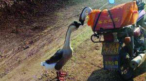 1455782623761087824.jpg 1455692509334.jpg