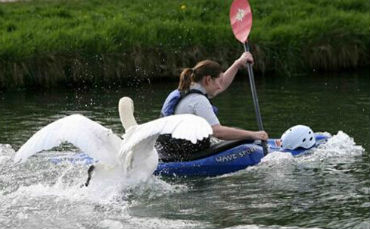 1455782659761056241.jpg 1455754242296.jpg