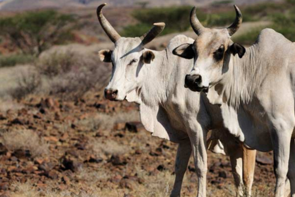 1455784526292009556.jpg 2016-05-Title.jpg