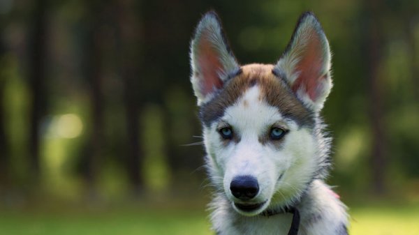 1456450129423009407.jpg fo2f-fxpvytf8730049.jpg