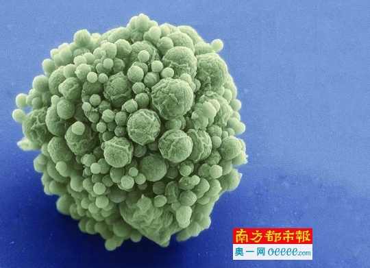 1459132922953053433.jpg LqNh-fxqtiwa5100439.jpg