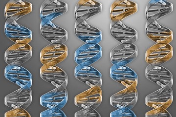 1459300200953093181.jpg Ht69-fxqswxn6502963.jpg