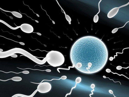 1459824017453058921.jpg 6jRd-fxqxcnr5298333.jpg