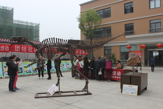 1459846326656004748.jpg 图片8.jpg