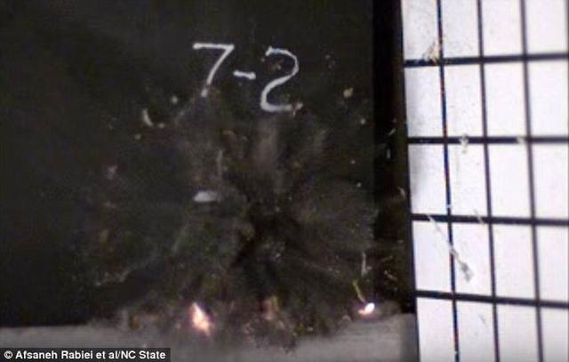 1460428666734008573.jpg 133312569.jpg