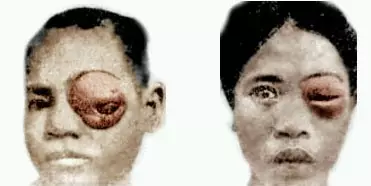 1462411417500036610.png Vr_r-fxrtztr3685052.png