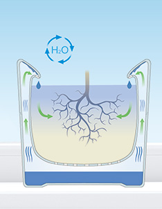 1463016957343036191.jpg 20160430-pot-2.jpg