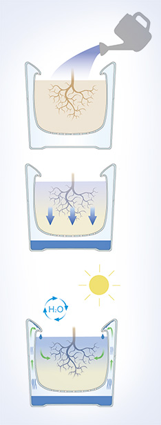 1463016965125034785.jpg 20160430-pot-3.jpg