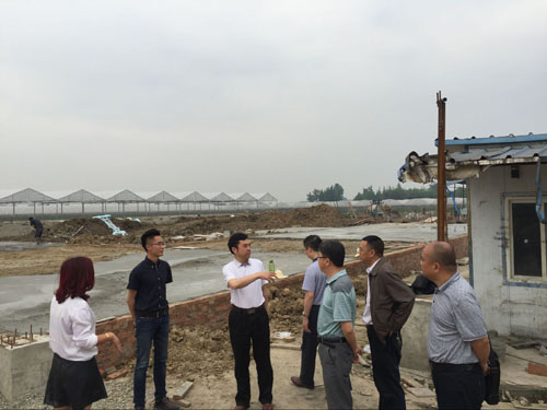 1463365248843038032.jpg 2016513135529368.jpg