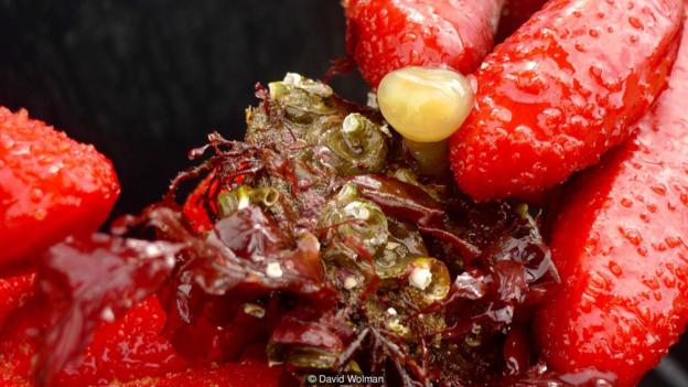 1465346032781036179.jpg zRO6-fxsvenv6755949.jpg