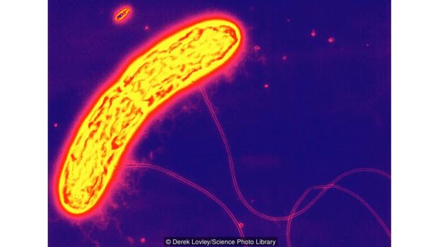 1467680352312098985.jpg XmsV-fxtspsa6613293.jpg