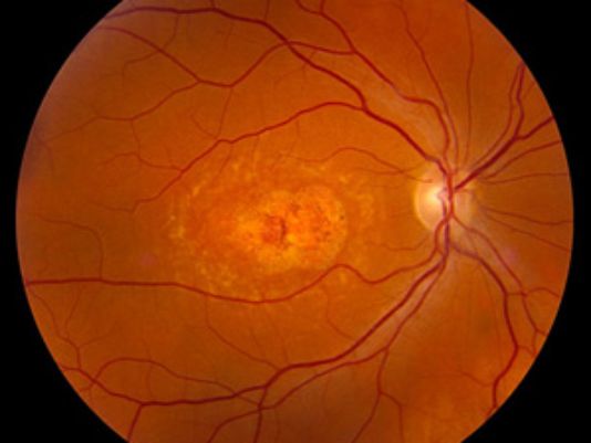 1467854473437051841.jpg 6I9--fxtspsa6739600.jpg