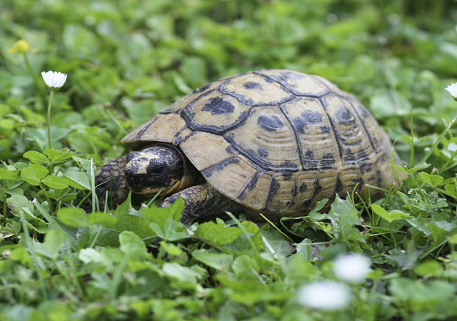 1468375173281005596.jpg d009b3de9c82d158c466f4b9880a19d8bd3e42d5.jpg