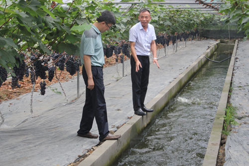 1468460583937005026.jpg 2016711153311863 (1).jpg