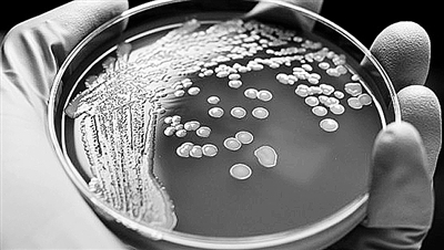 1469757308484094981.jpg GC9y-fxunyyf6063534.jpg