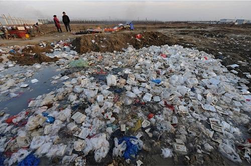 1471398246812002793.jpg 135647043.jpg