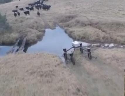 1472780921890069831.jpg 4Wty-fxvqqsk4536055.jpg