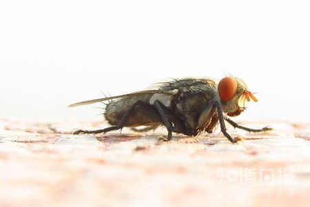 1472781259796067928.jpg c83d70cf3bc79f3d30402068b2a1cd11738b29c1.jpg