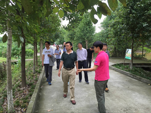 1473644777937015931.jpg 201699143319625.jpg