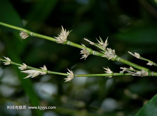 1474891519953038958.jpg 20160107120049523.jpg