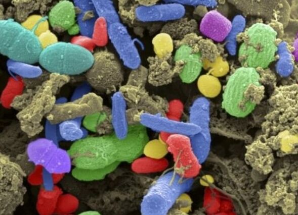 1475112115140085153.jpg tTFX-fxwevmh9028585.jpg