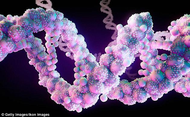 1476062445109093978.jpg 2M_G-fxwrhpm2692476.jpg