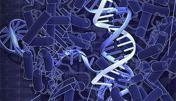 1477444514703086582.jpeg qavJ-fxwztrw3836971.jpeg