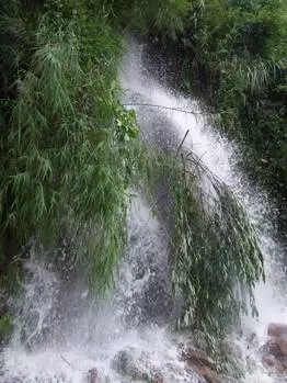 1477873414703069188.jpg 640.webp (3).jpg