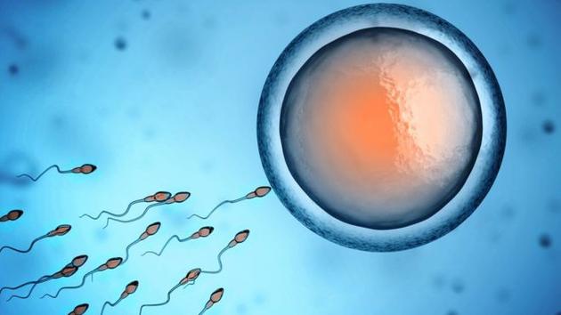 1477964059359019871.jpg gfLh-fxxfyev8922487.jpg