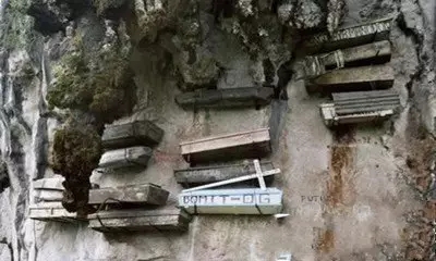 1477986854421074547.jpg 640.webp (3).jpg